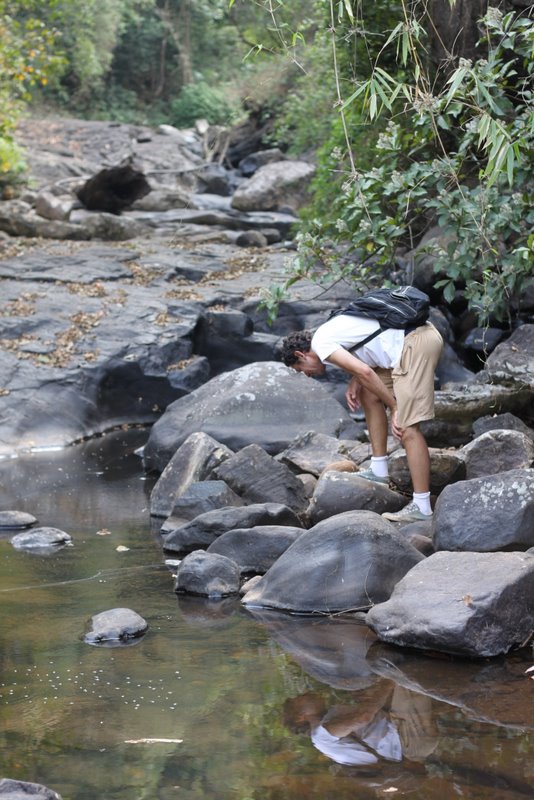 India 2010 - Coorg - Honey Valley - Trek to the Swimming Hole